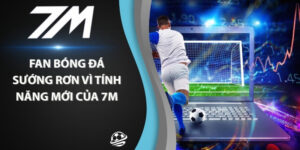 Cá nhân hóa dữ liệu là tính năng mà 7M làm rất tốt