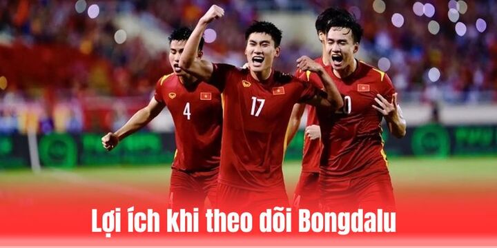 Một số lợi ích tuyệt vời khi theo dõi trang web Bongdalu