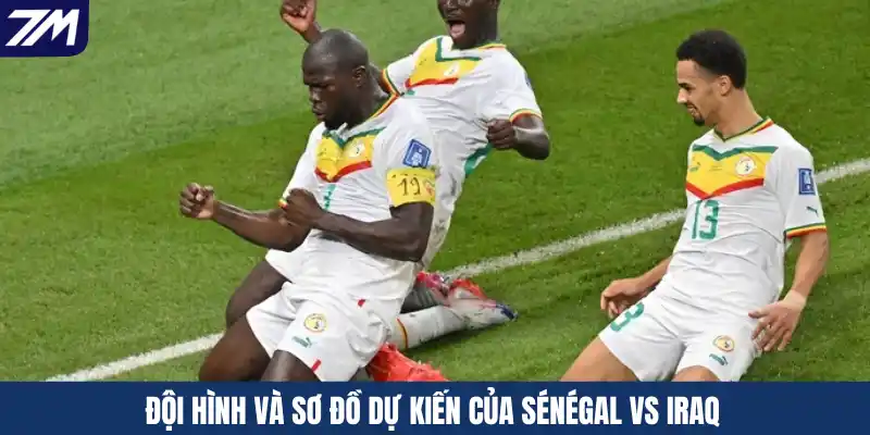 Đội hình và sơ đồ dự kiến của Sénégal vs Iraq