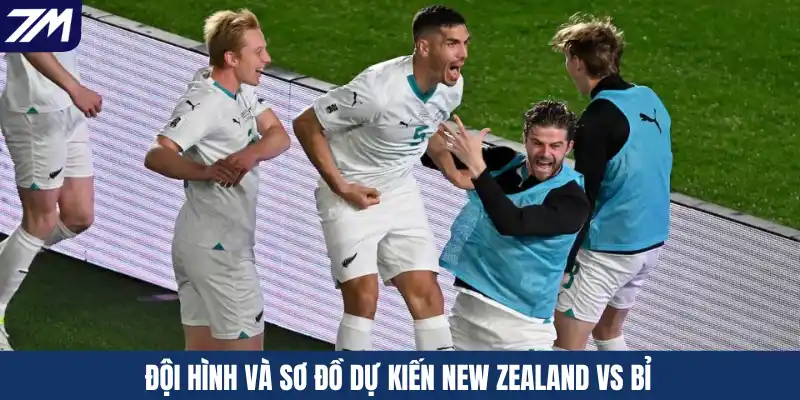 Đội hình và sơ đồ dự kiến New Zealand vs Bỉ